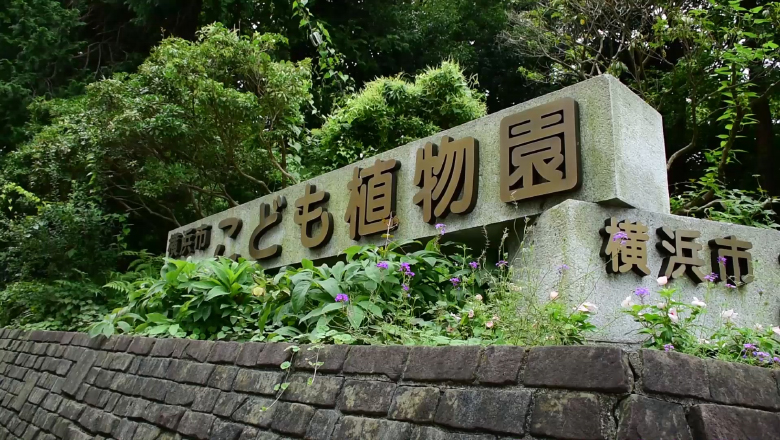 works_video12