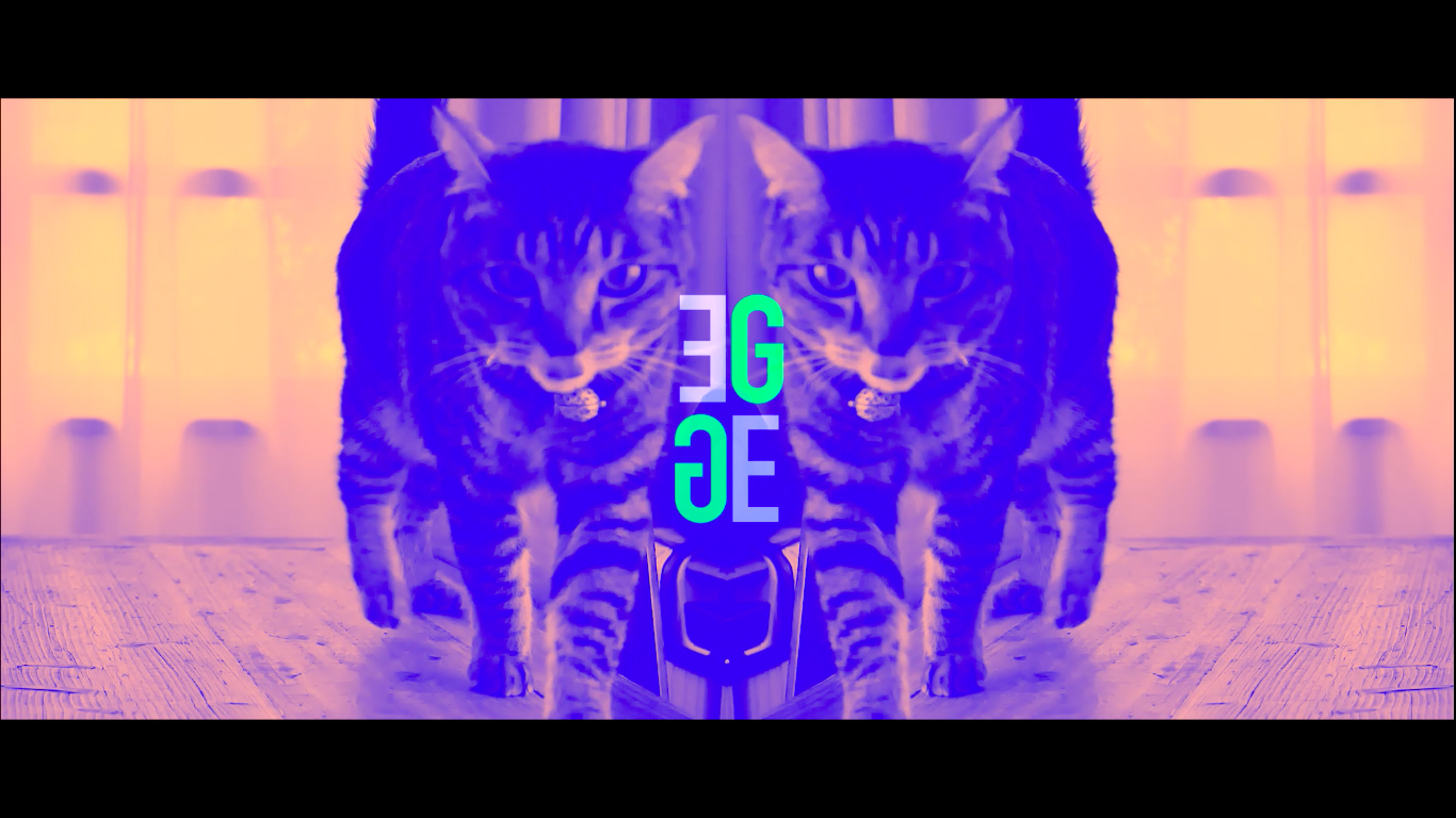 Coogee SS2017 Collection